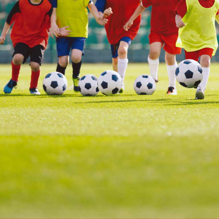 New South Wales Local Sport Defibrillator Grant Program Cardiac