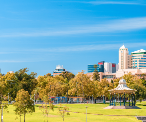 Cardiac Defibrillators appointed on South Australian Government Panel