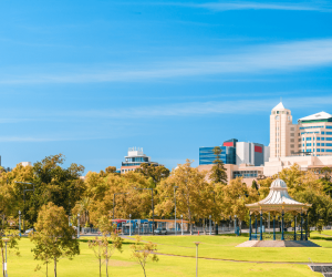 Cardiac Defibrillators appointed on South Australian Government Panel