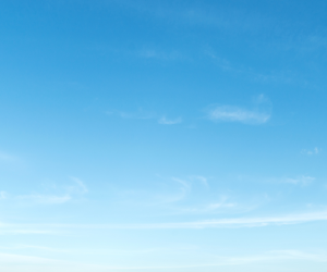 Member of Frankston saves man after plane crash