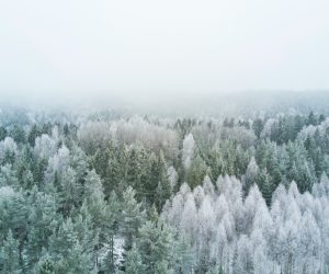 Why do more people suffer from cardiac arrest during winter months?